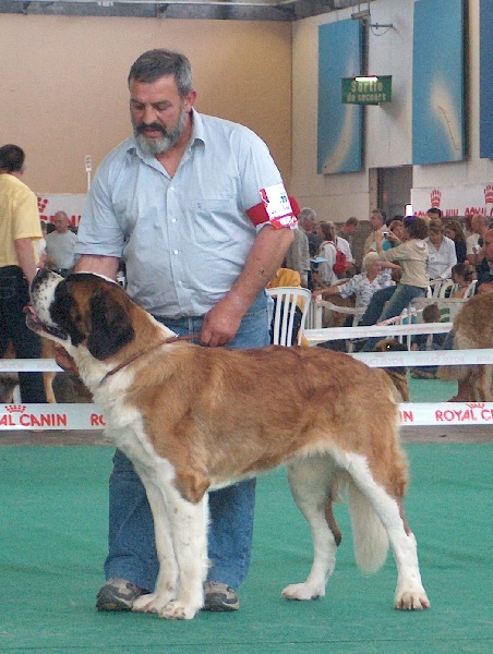 CH. Ugoline des Hauts de Saint Clair