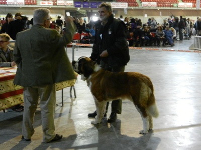 CACS de MARTIGUES 2011